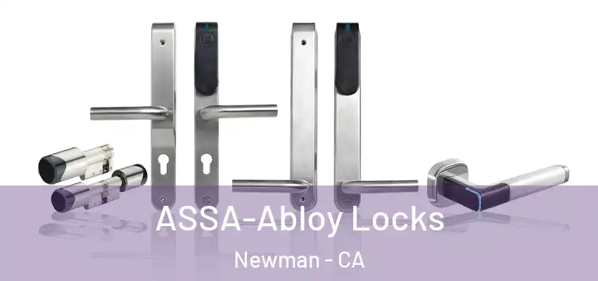  ASSA-Abloy Locks Newman - CA