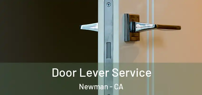 Door Lever Service Newman - CA