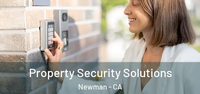  Property Security Solutions Newman - CA
